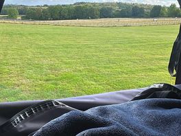Waking up to a lovely view. priceless