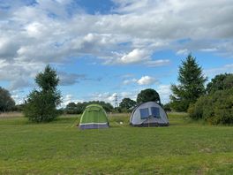 Our set up