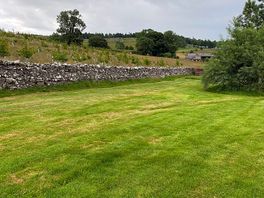 The camping field