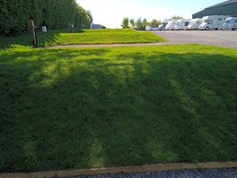 Steep banks along the hedge side