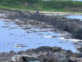 Low tide