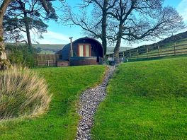 The pod