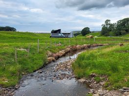 Stream