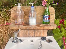 Washbasin with fresh followers.