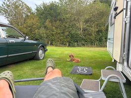 Lazy afternoon