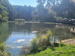 Near by reservoir to swim in