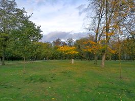 Grass pitches