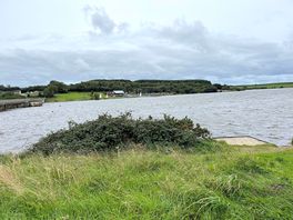Tamar lakes