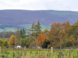 Loved all the colours of the trees