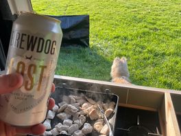 Dogs, beer and fire pit! winner!