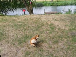 River