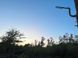 Sunset from forest path