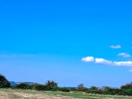 Site view