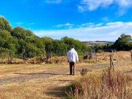 Walking by the animals