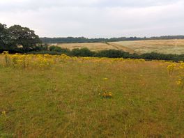 Some nice views