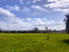 The camping meadow