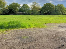 Grassy pitches