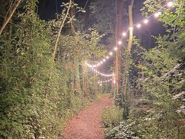 Trail to the toilets/ main site at night