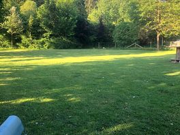 Dog park