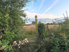 Footpath starting at the campsite