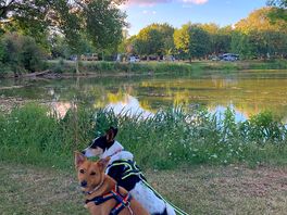Relaxing by the lake
