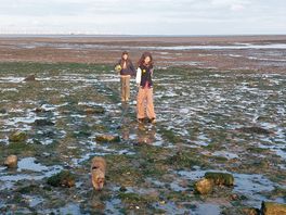 Exploring the beach