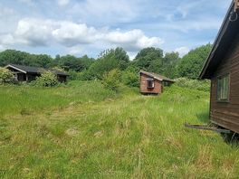 Massive haven for a mass of wildlife.