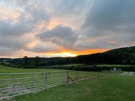 View from tent