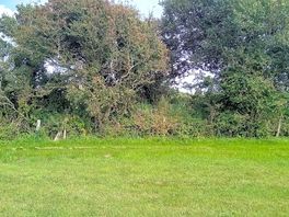 Grass pitches