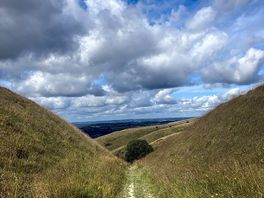 Nearby ridge walk.