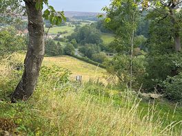 Beautiful countryside