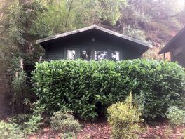 Our cabin