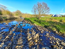 Stream next to pitch