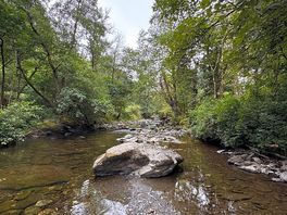 Riverside walk