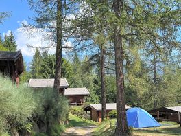 Dentro al camping. tranquillità e aria di montagna tutta da respirare.