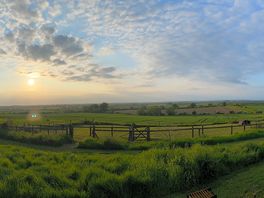 What a view