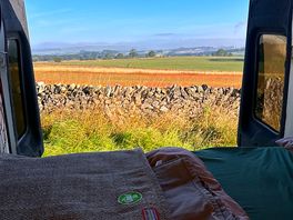 Morning views