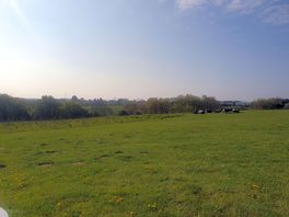 View from top of main camping field towards woodland and shared seating circle