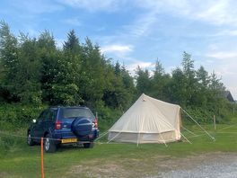 Lovely tent pitches