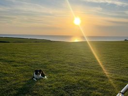 Evening sun