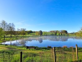 Morning lake view