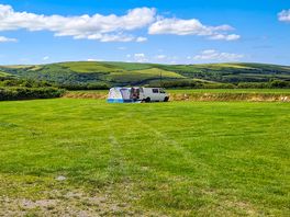 Grass pitches