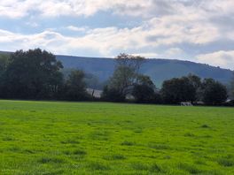 Nice views across the field