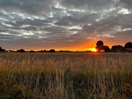 Morning sunrise