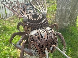The wasp