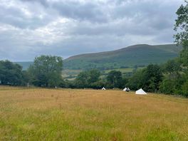 The top of the bell tent field.