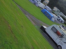 The site