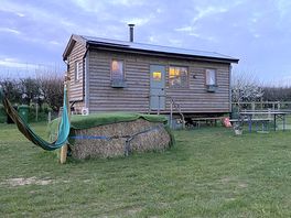 View of the tiny home