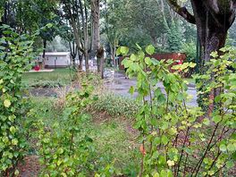 Rainy day, but beautiful greenery.