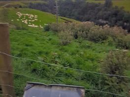 View from one of the trails from farm